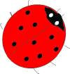Bild Logo Käfergruppe